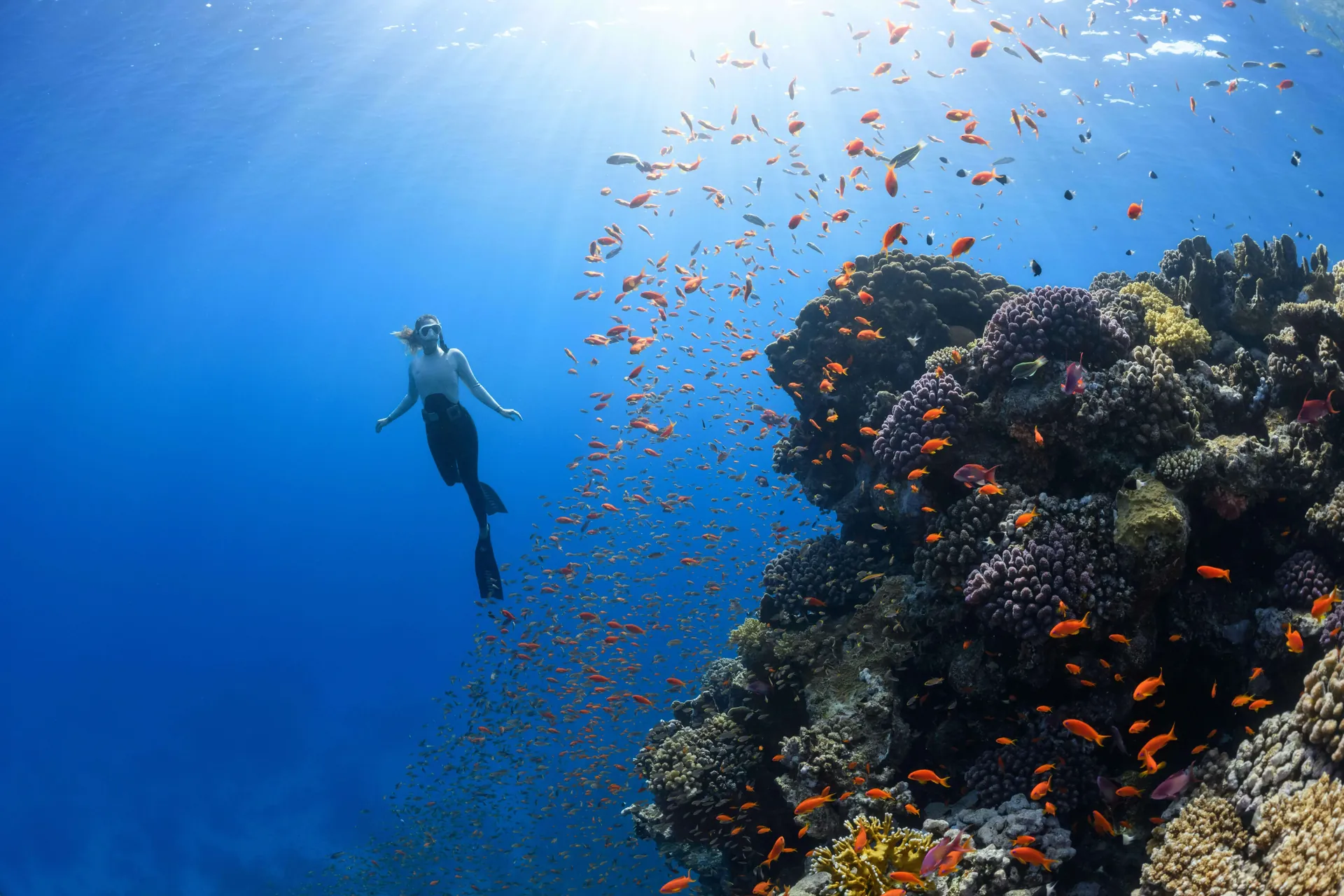 Red Sea: Egypt’s Luxury & Sustainable Resort Destination