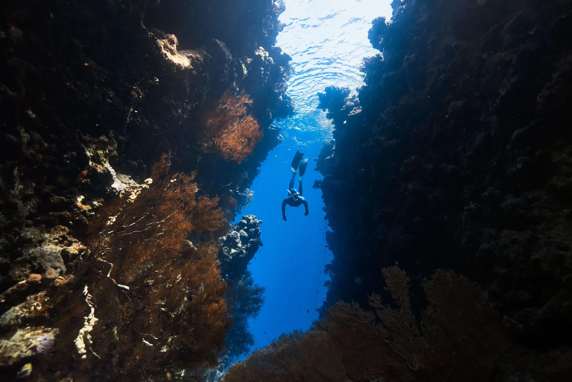 Red Sea Luxury & Adventure: Saudi-Egypt Cross-Tourism Packages